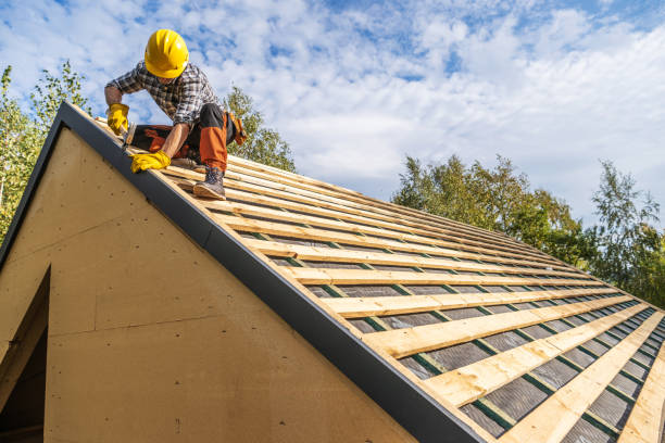 Roof Gutter Cleaning in Fruitland, ID